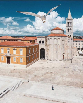 Apartman Zeus Zadar